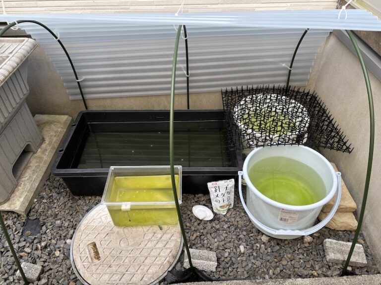 夏の水槽ピンチ　屋根DIYで日除け作ってみた